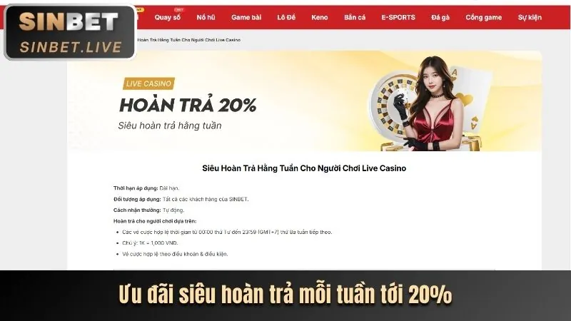 Đánh giá chi tiết nền tảng cá cược ThienHaBet