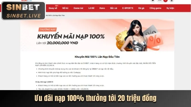 Hướng dẫn trải nghiệm ThienHaBet toàn tập cho newbie